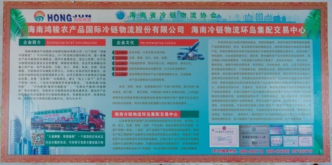 王鸿骏:引领新“鲜”时代 使海南冷链物流驶入发展快车道